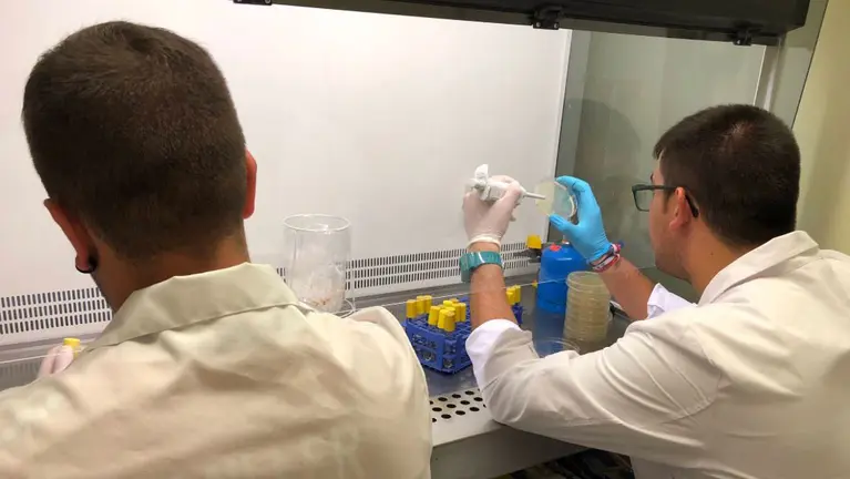 Dos de los estudiantes de la UPNA trabajando en el proyecto de biosensores para presentar en el concurso del MIT IGEMUPNA