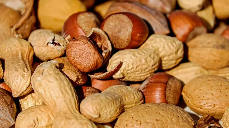 Varios frutos secos con cáscara. ARCHIVO