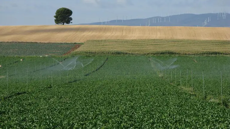 Imagen de un regadío en la localidad navarra de Funes INTIA