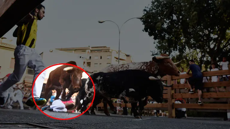 Primer encierro de fiestas de Tudela protagonizado por los novillos de la ganadería lodosana de Pincha MIGUEL OSÉS