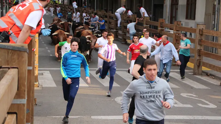 Los astados de Toropasión protagonizan el segundo encierro de fiestas de Tudela. DAVID PRECIADO / PLAZA NUEVA