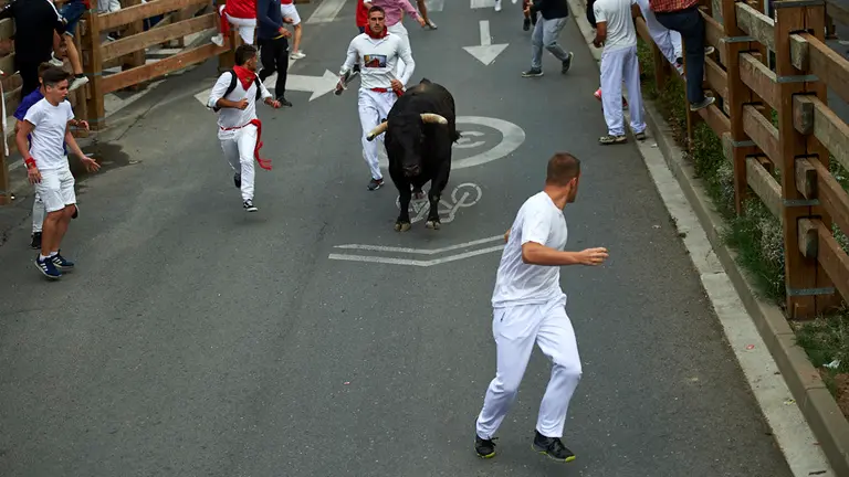 Encierro de las fiestas de Santa Ana 2019 en Tudela con la ganadería de La Palmosilla. MIGUEL OSÉS