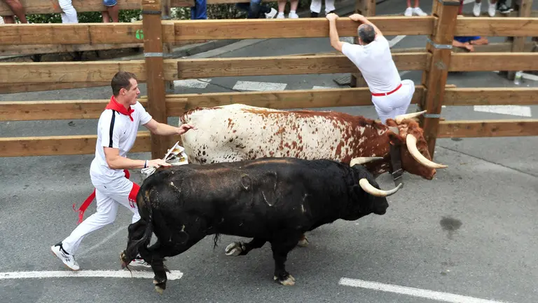 Encierro de las fiestas de Santa Ana 2019 en Tudela con la ganadería de La Palmosilla. ELSA A BRAVO