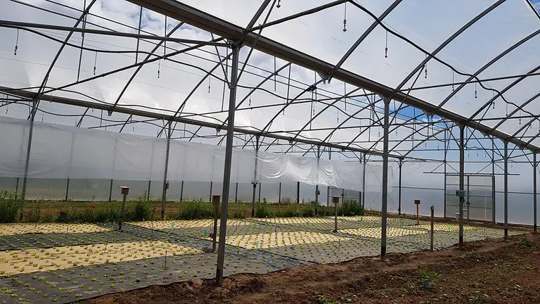 Imagen de la finca experimental de INTIA en Sartaguda en la que se experimentan con papel como sutituto del plástico para invernaderos Foto INTIA