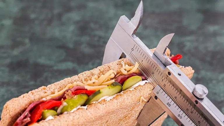 Imagen de un bocadilllo durante el seguimiento de una dieta