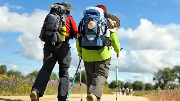 Varios peregrinos haciendo el Camino de Santiago a su paso por Navarra ARCHIVO