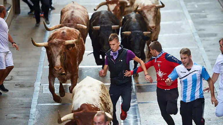 Primer encierro de novillos de las fiestas de Estella de 2019 con la ganadería de Macua. MIGUEL OSÉS