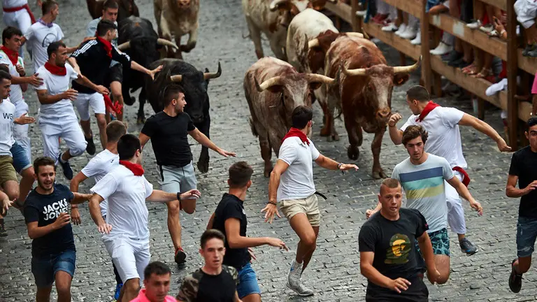 Encierro con novillos de las fiesntas de Estella de 2019 en el que ha habido un herido por asta de toro. MIGUEL OSÉS