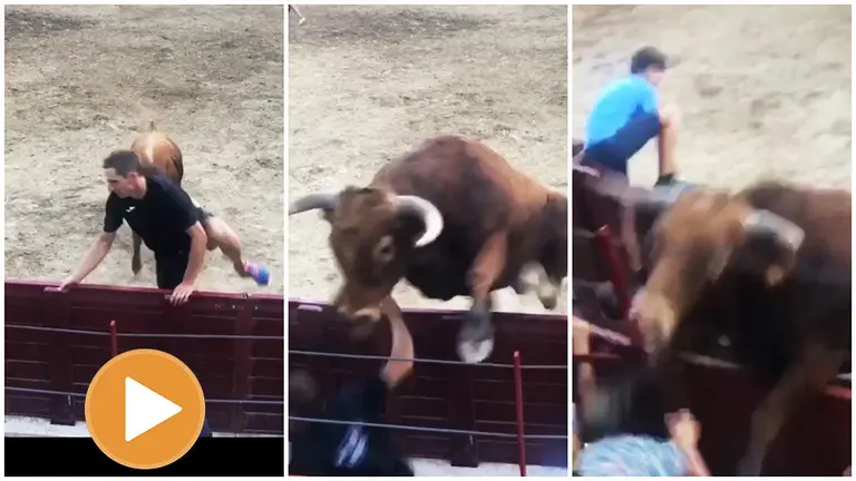 Un novillo salta la barrera en Arguedas y a punto está de llegar a las gradas. JORGE CELORRIO