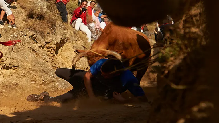 Segundo encierro de las fiestas del Pilón de Falces 2019. PABLO LASAOSA 3