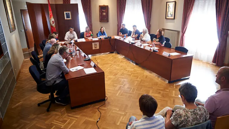 Pleno de dimisión de la alcaldesa de Huarte. MIGUEL OSÉS