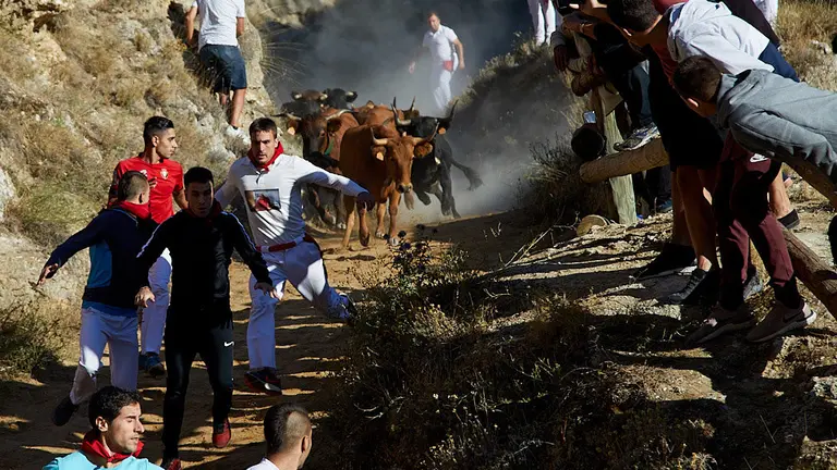 Cuarto encierro del Pilón de Falces 2019. IÑIGO ALZUGARAY