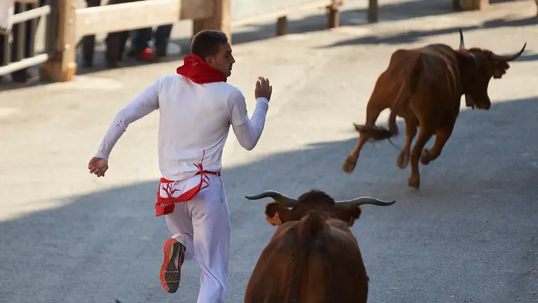 Cuarto encierro de las fiestas del Pilón de Falces 2019. PABLO LASAOSA 10