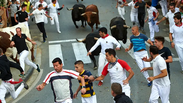 Primer encierro de las fiestas de Tafalla con la ganadería de Las Monjas. MIGUEL OSÉS