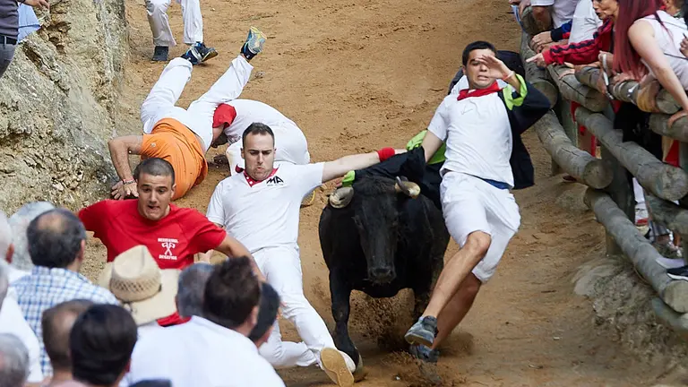 Quinto encierro del Pilón de Falces 2019. IÑIGO ALZUGARAY