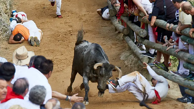 Quinto encierro del Pilón de Falces 2019. IÑIGO ALZUGARAY