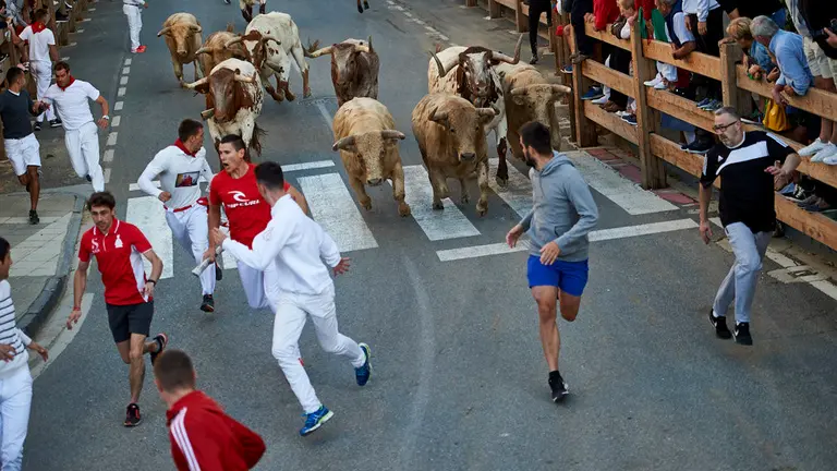 Segundo encierro de las fiestas de Tafalla 2019 con la ganadería de Prieto de la Cal. MIGUEL OSÉS