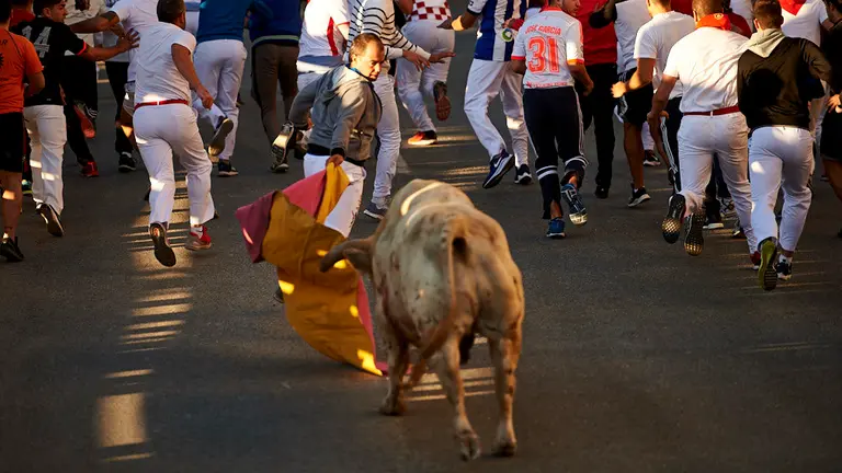 Segundo encierro de las fiestas de Tafalla 2019 con la ganadería de Prieto de la Cal. MIGUEL OSÉS