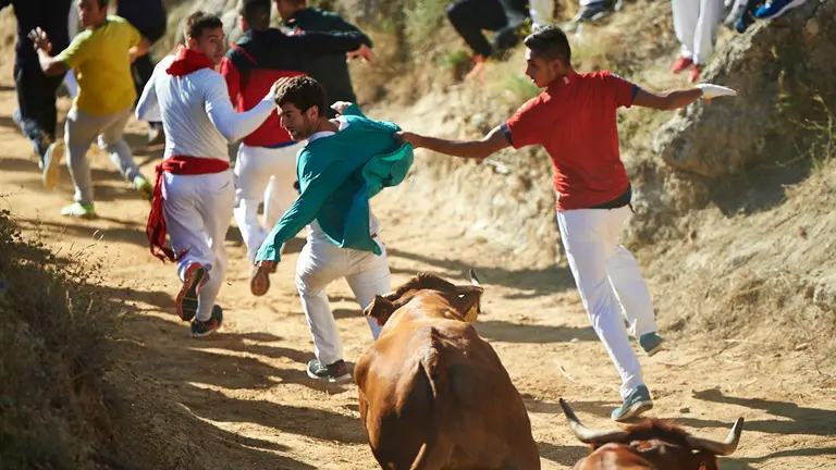 Sexto encierro de El Pilón de Falces 2019. MIGUEL OSÉS
