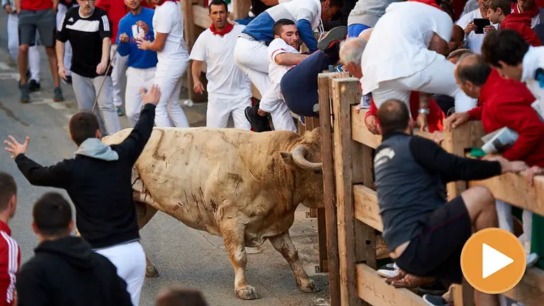 Segundo encierro de las fiestas de Tafalla 2019 con la ganadería de Prieto de la Cal. (player) MIGUEL OSÉS