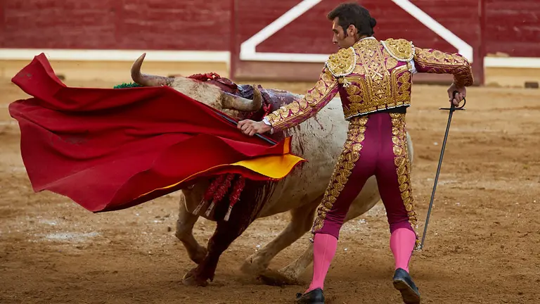 Segunda corrida de Fiestas de Tafalla 2019 con toros de Tomás Prieto de la Cal para Joselillo, Fernando Adrián y Javier Antón. IÑIGO ALZUGARAY