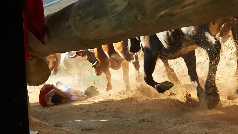 Séptimo encierro de las fiestas del Pilón de Falces 2019 con la ganadería de Eulogio Mateo. MIGUEL OSÉS 4