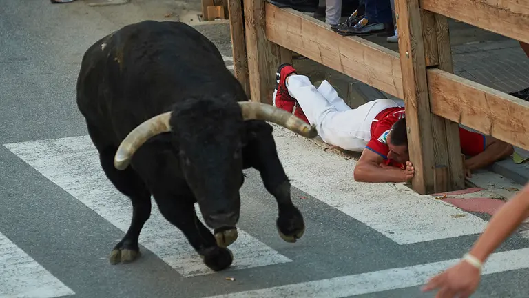 Cuarto encierro de las fiestas de Tafalla 2019 con la ganadería de Rosa Rodriguez y Aquilino Fraile. MIGUEL OSÉS