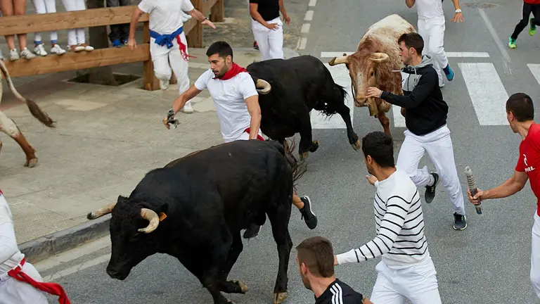 Quinto encierro de Tafalla 2019. IÑIGO ALZUGARAY