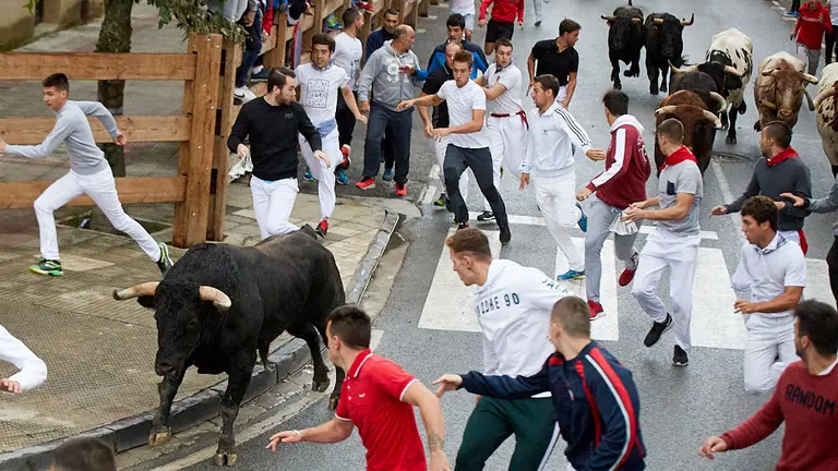 Último encierro de Tafalla 2019. IÑIGO ALZUGARAY