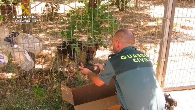 La Guardia Civil con uno de los cachorros recuperados. EUROPA PRESS
