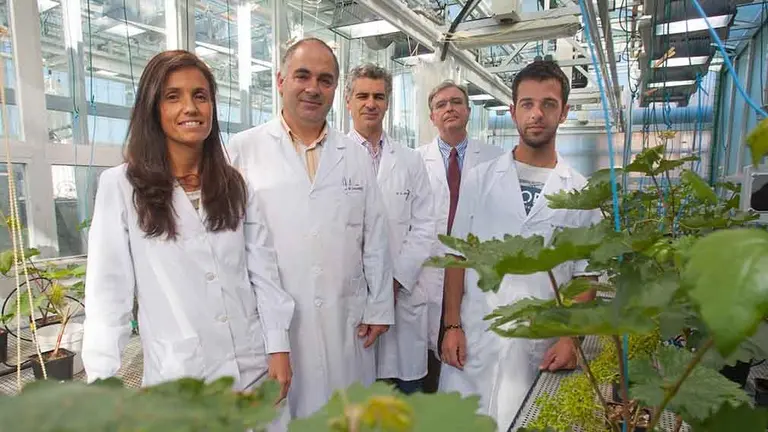Investigadores del grupo Bach (Biological and Agricultural Chemistry Group) de la Universidad de Navarra. De izquierda a derecha, Marta Fuentes, Ángel Zamarreño, Óscar Urrutia, José María García-Mina y Javier Erro. UNIVERSIDAD DE NAVARRA