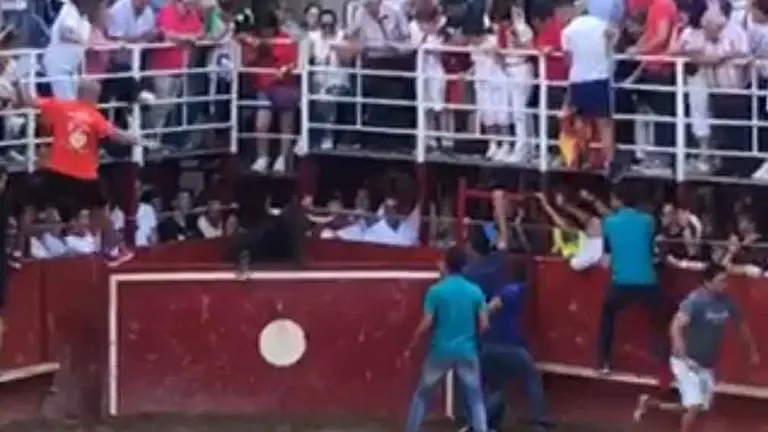 Imagen de la vaca de la ganadería José Arriazu de Ablitas, atrapada en el burladero de la plaza.