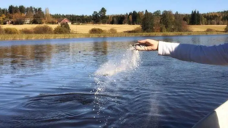 Imagen de una mujer tirando las cenizas de un difunto en un lago. ARCHIVO