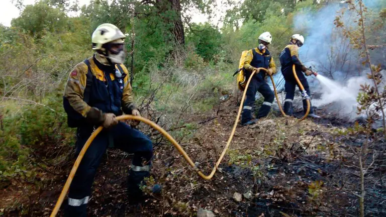 Un retén de bomberos trabaja en la extinción de un incendio en un paraje de Eulate. BOMBEROS DE NAVARRA