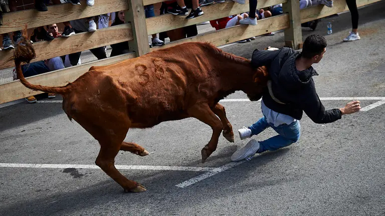 Cogida en las fiestas de Berriozar de 2019. MIGUEL OSÉS