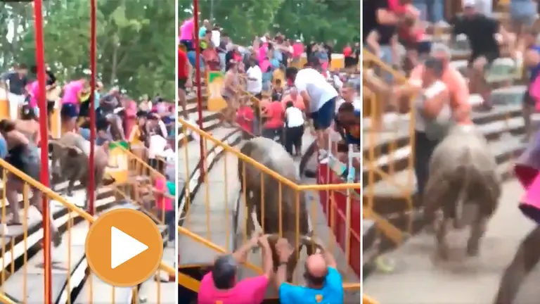 El toro que se escapó en Vidreres y dejó una veintena de heridas