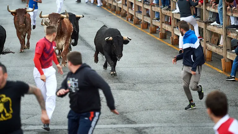 Cuarto encierro de las fiestas de Sangüesa de 2019 con la ganadería de Luis Albarrán. MIGUEL OSÉS