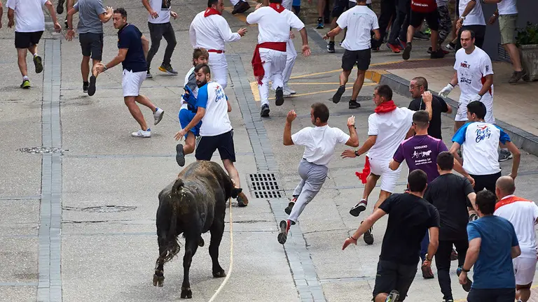 Toro con soga del domingo por la mañana en la localidad navarra de Lodosa. MIGUEL OSÉS