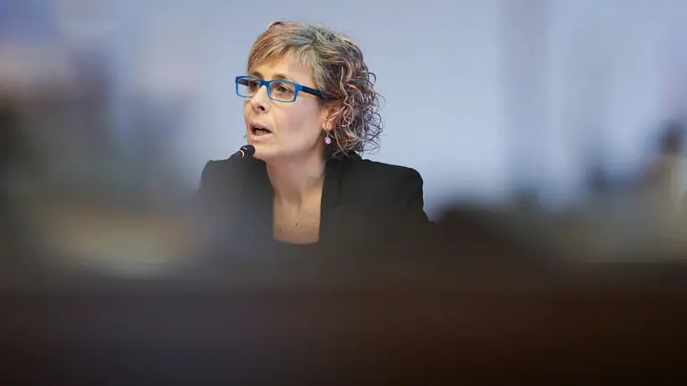 Comparecencia para que la consejera Rebeca Esnaola informe sobre las líneas de actuación de su departamento. PABLO LASAOSA 4