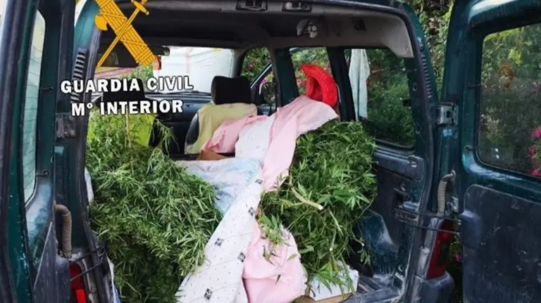 Incautadas 10 plantas de marihuana en varios controles de seguridad de la Guardia Civil GUARDIA CIVIL