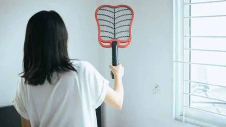 Una mujer con un matamoscas ARCHIVO