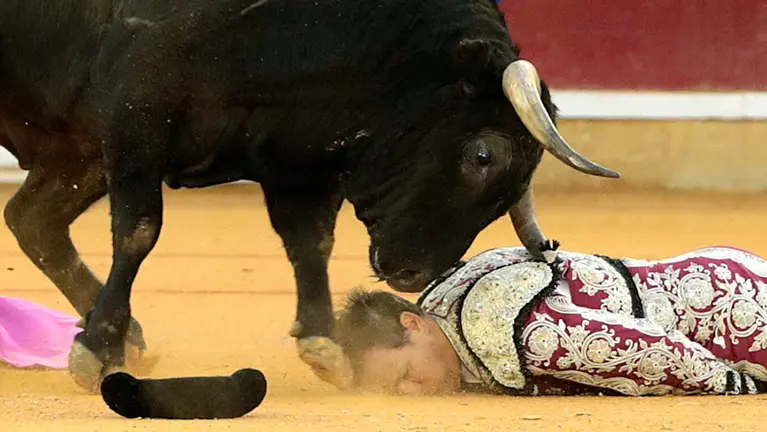 GRAF9838. ZARAGOZA, 13/10/2019.- Cogida del banderillero Mariano de la Viña durante la faena de Enrique Ponce a su segundo toro, de Montalvo, en la corrida celebrada hoy en el coso de La Misericordia con motivo de la Feria del Pilar de Zaragoza y en la que ha compartido cartel con Julián López "El Juli" y Miguel Ángel Perera. EFE/Javier Cebollada