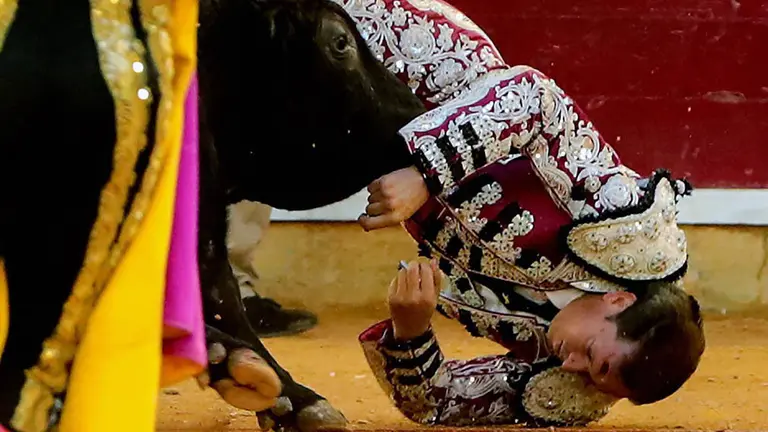 GRAF9885. ZARAGOZA, 13/10/2019.- Cogida del banderillero Mariano de la Viña durante la faena de Enrique Ponce a su segundo toro, de Montalvo, en la corrida celebrada hoy en el coso de La Misericordia con motivo de la Feria del Pilar de Zaragoza y en la que ha compartido cartel con Julián López "El Juli" y Miguel Ángel Perera. EFE/Javier Cebollada