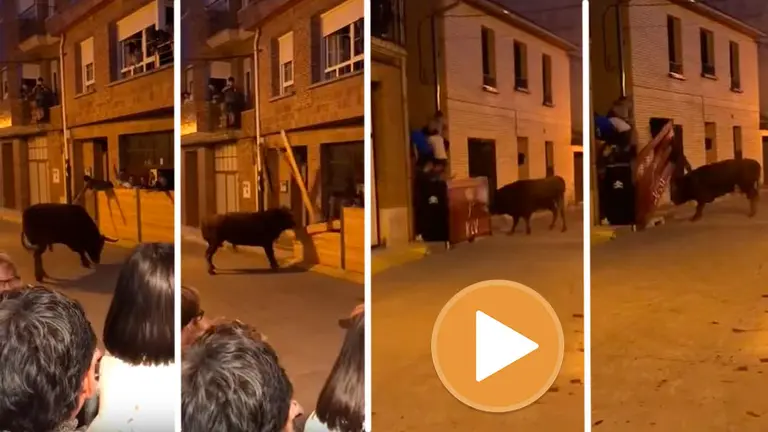 Un toro embiste y rompe dos burladeros en Marcilla (player)