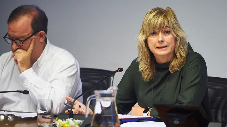 Comisión de Relaciones Ciudadanas del Parlamento de Navarra con la comparecencia de la consejera Ana Ollo. MIGUEL OSÉS