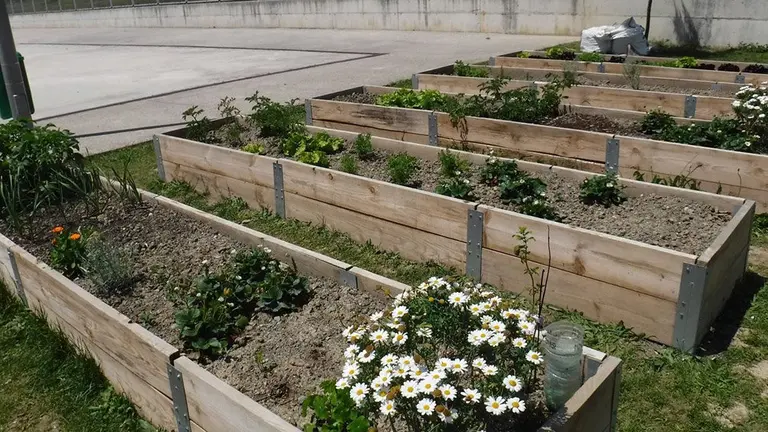 Una de las huertas situadas en un colegio de Pamplona AYUNTAMIENTO DE PAMPLONA