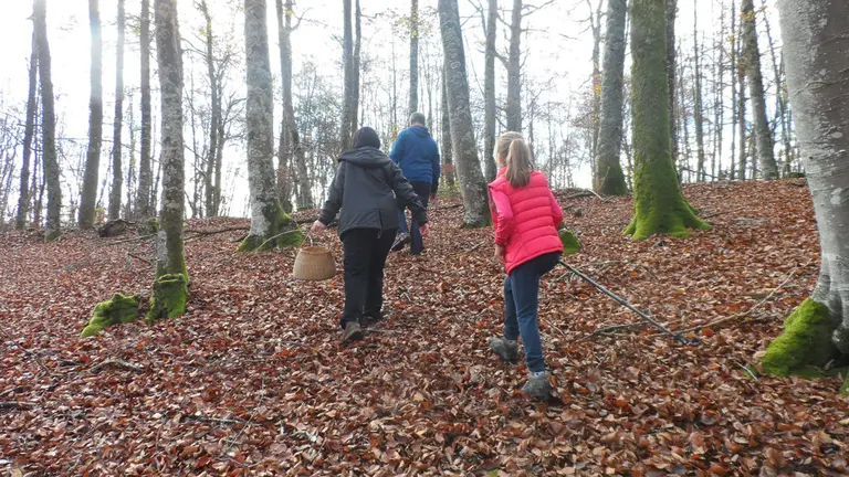 Una familia busca hongos en la Ulzama. CEDIDA