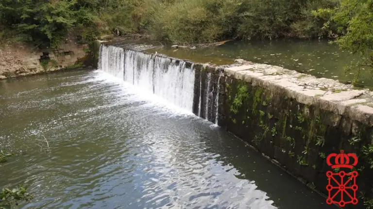 Lugar del r&iacute;o Araquil donde fue hallada la perra muerta POLIC&Iacute;A FORAL