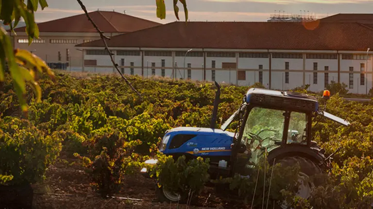 Bodegas Marqués del Atrio, de Mendavia. ARCHIVO