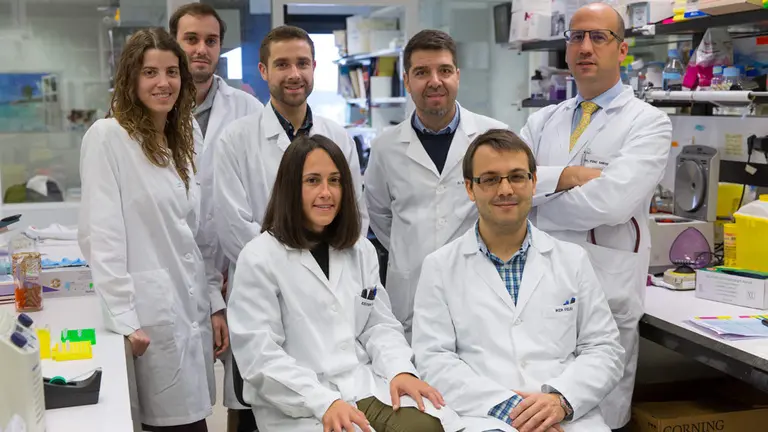 Los investigadores del Cima y la Clínica pertenecientes a la línea de uso de
organoides: los Dres. Irati Macaya, Rodrigo Entrialgo, Adrián Vallejo, Silve Vicent,
Mariano Ponz-Sarvise; y abajo, Esther Blanco e Iker Feliu. CEDIDA